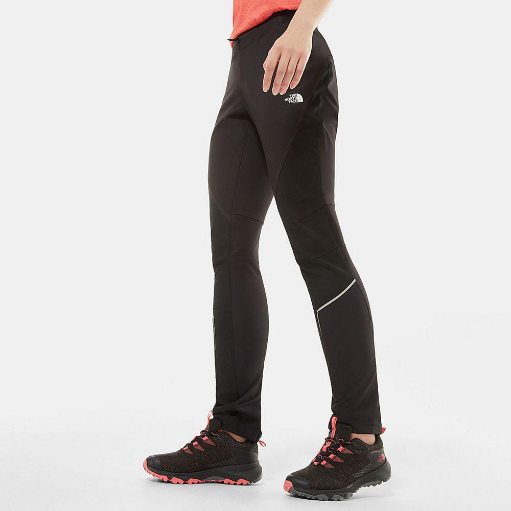 The north face store impendor alpine pant